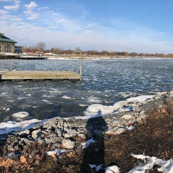 Meet your Posher, Jackson - Picture 1 of 1